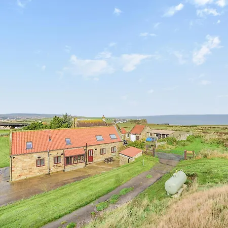 Foxglove- Uk45261 Whitby